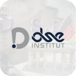 DSE institut